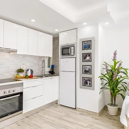 Blush Palm Apartamento
